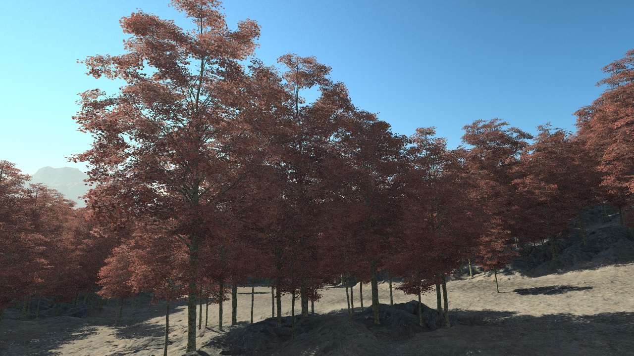 Summer Red Maple Trees_6