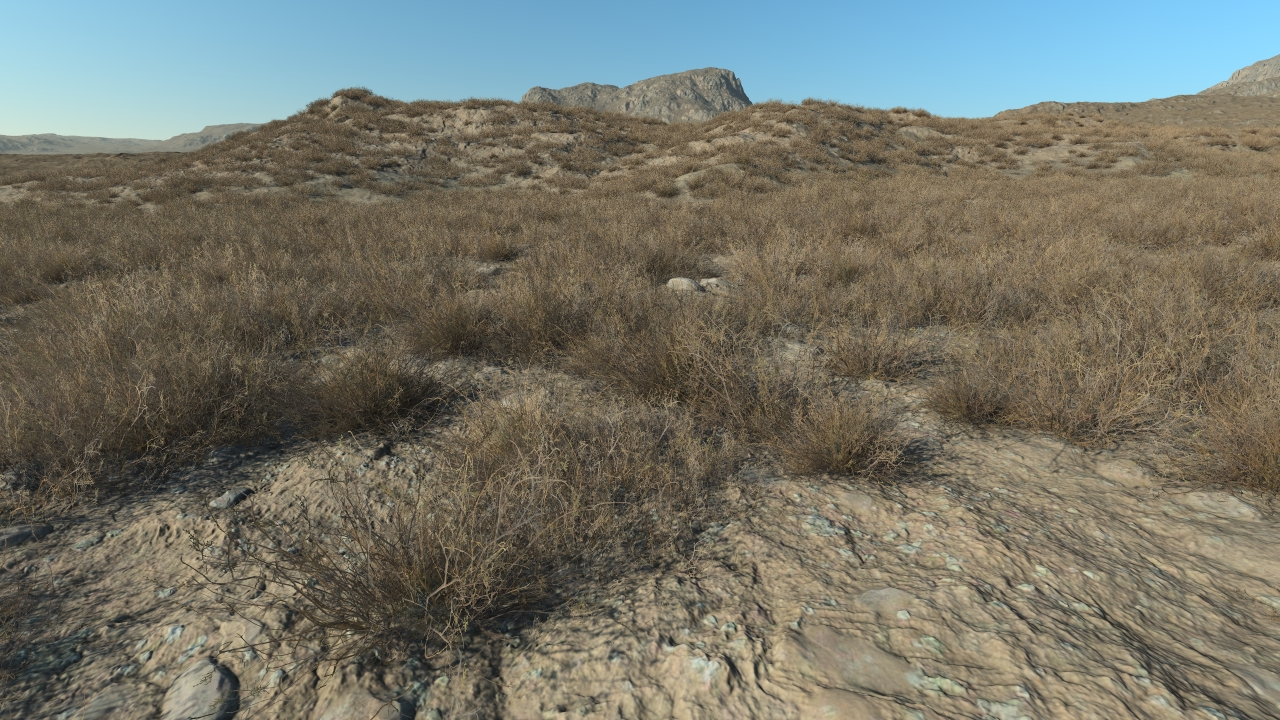 Dry Calluna_1