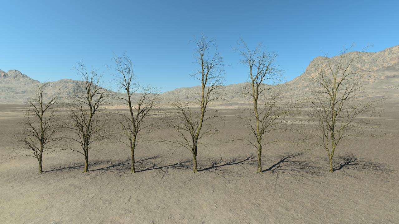 Wintertime Oak Trees_2