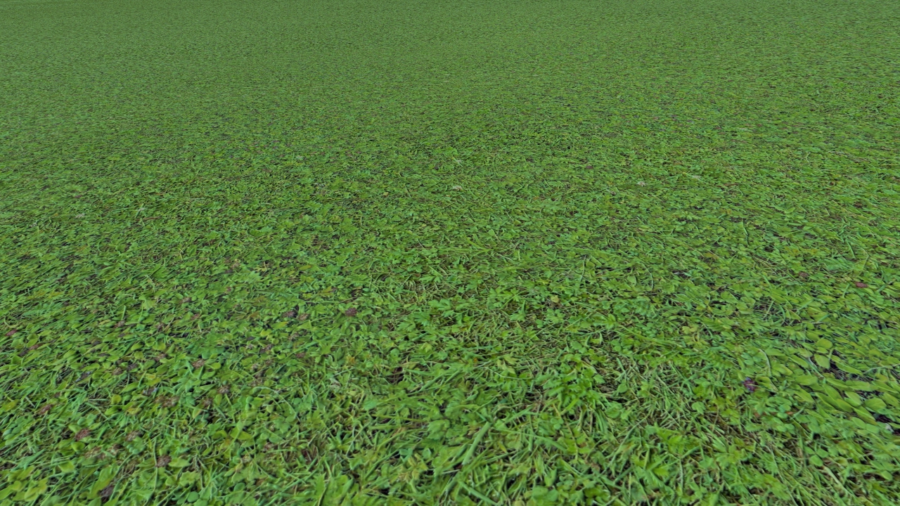 Grass covered soils_0