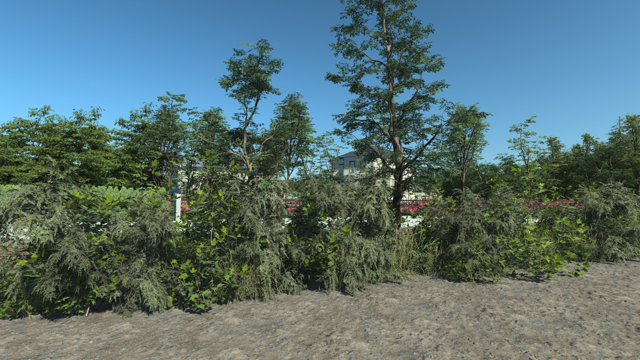 Wild Hedge_1