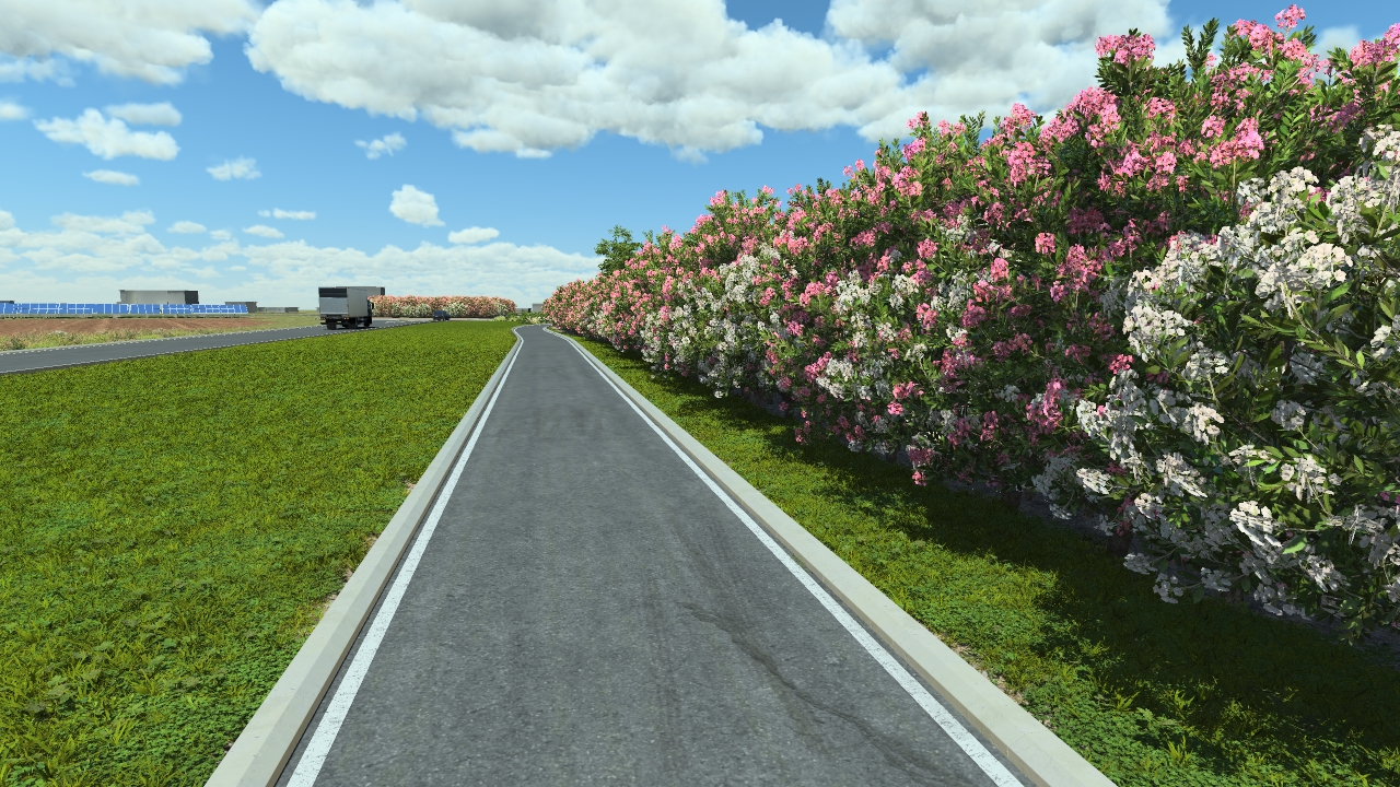 Flowery laurel bushes_5