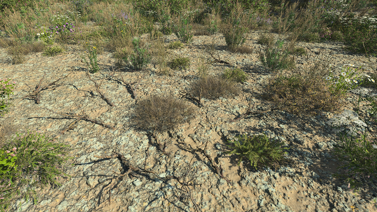 Dead Branches_2
