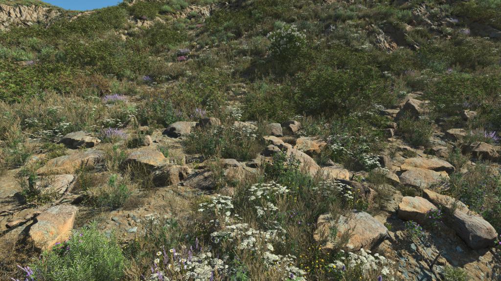 Arid Desert Rocks