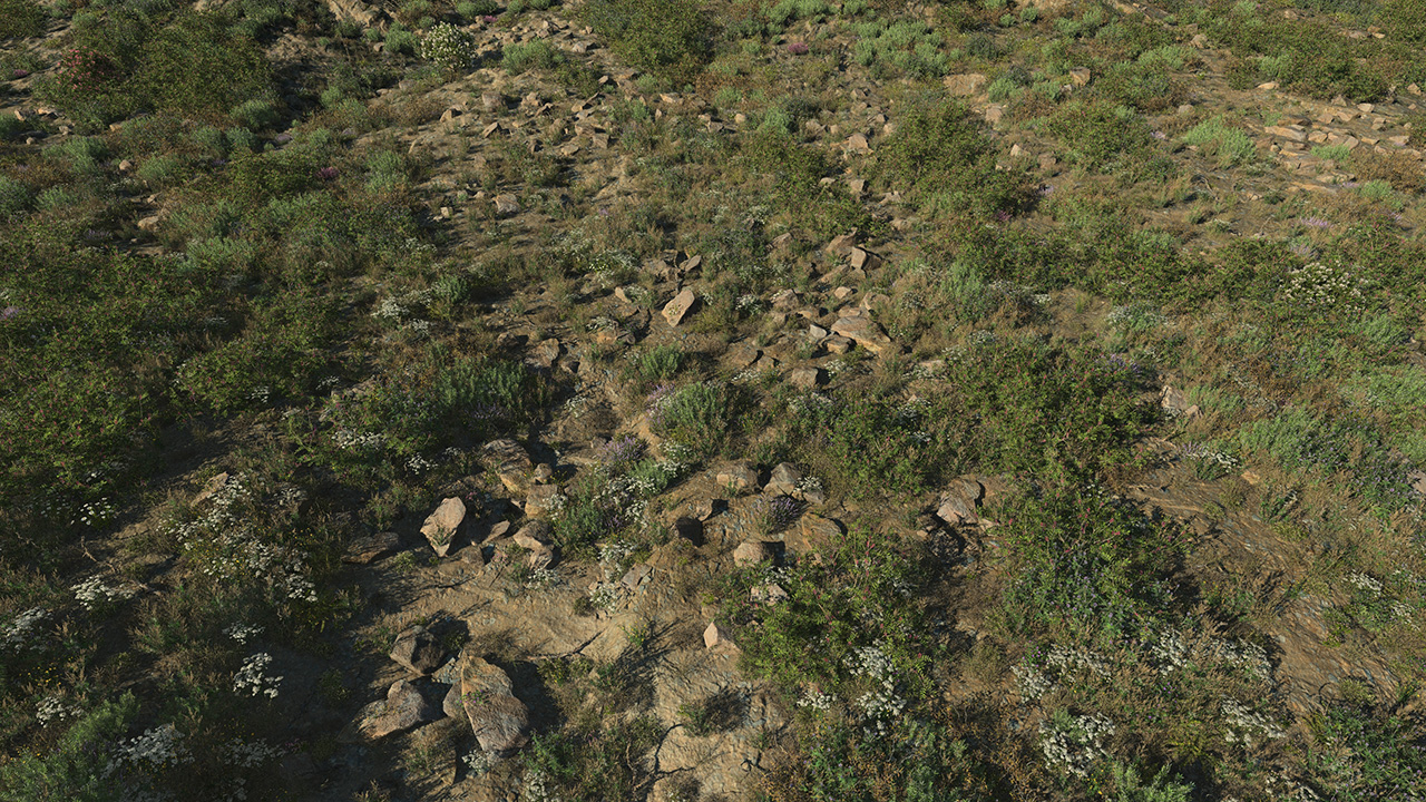 Arid Desert Rocks_1