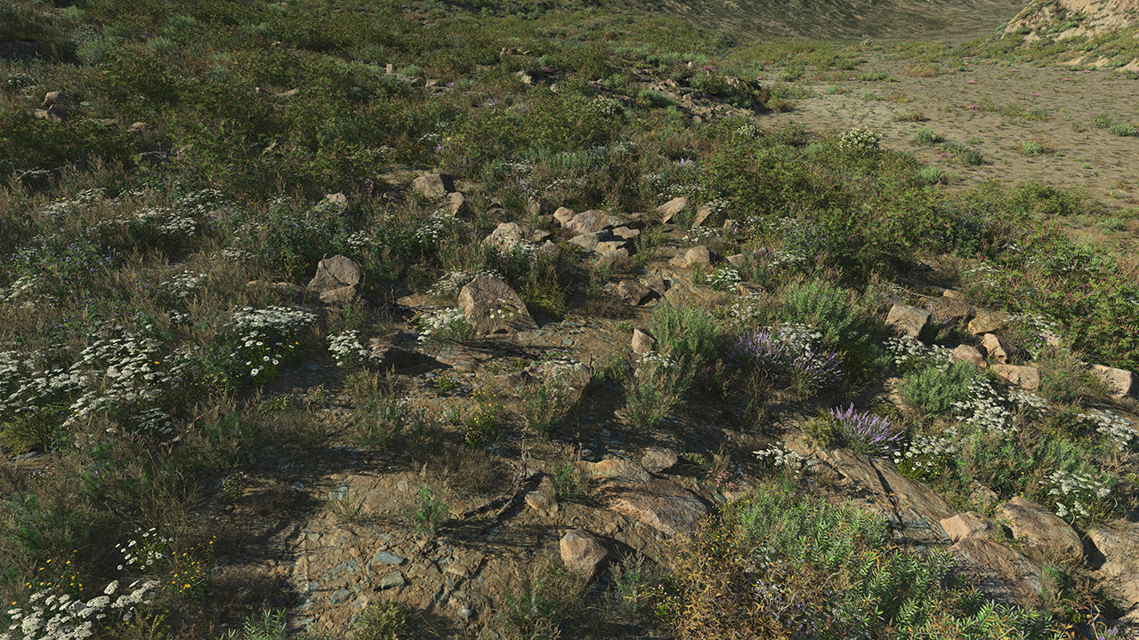 Arid Desert Rocks_2