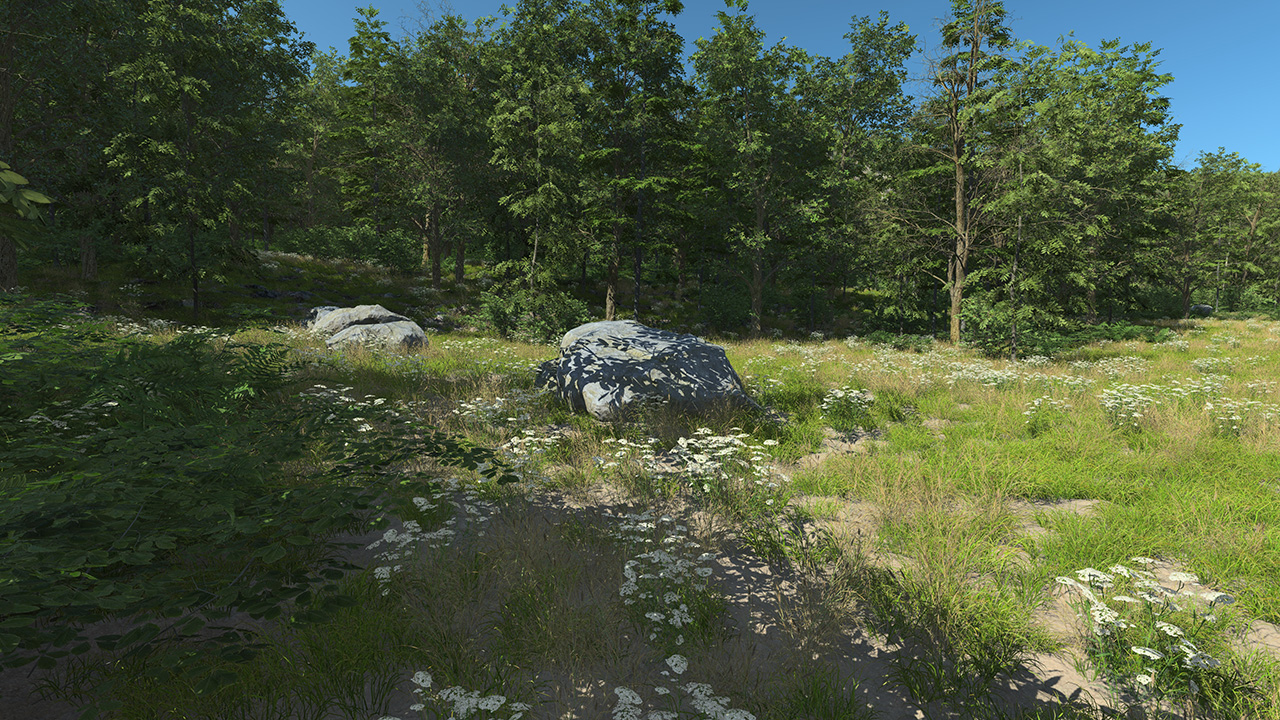 South Of France Broadleaf Forest_0