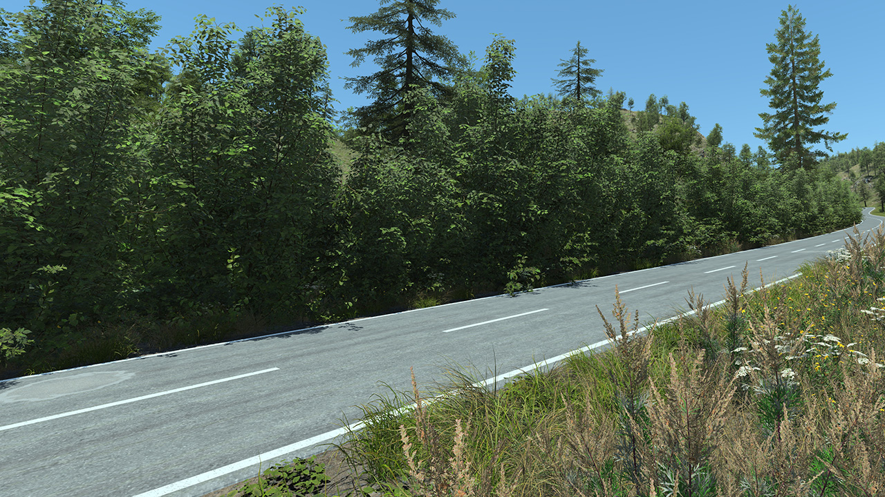 Rural Roadside Biome_1