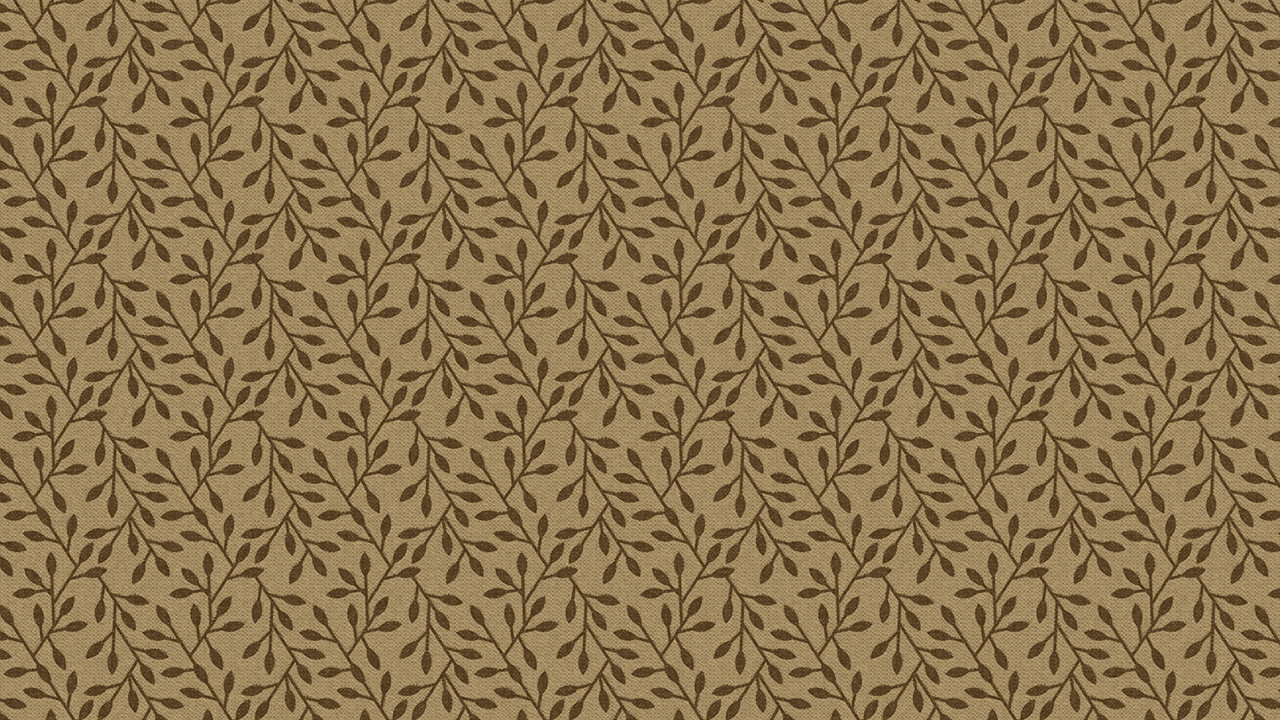 Curtains_0