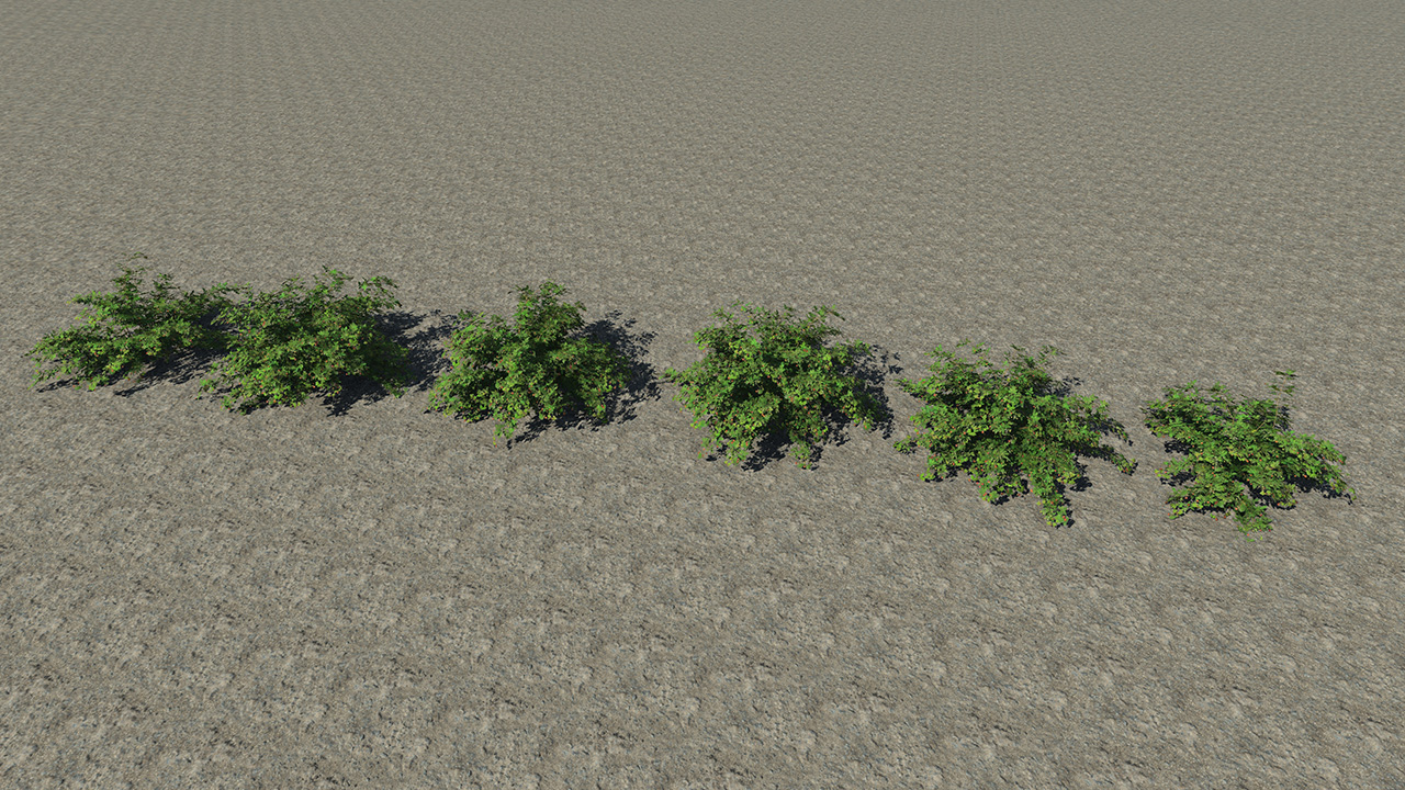 Raspberry_5