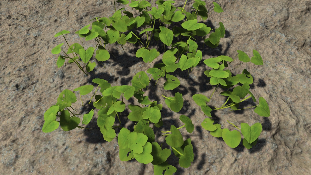 Small forest plants_3