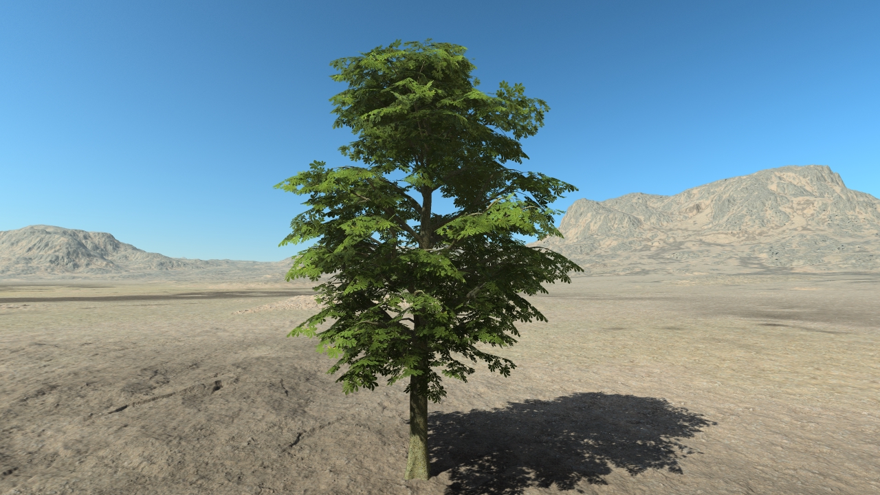 Summer chestnut trees_3