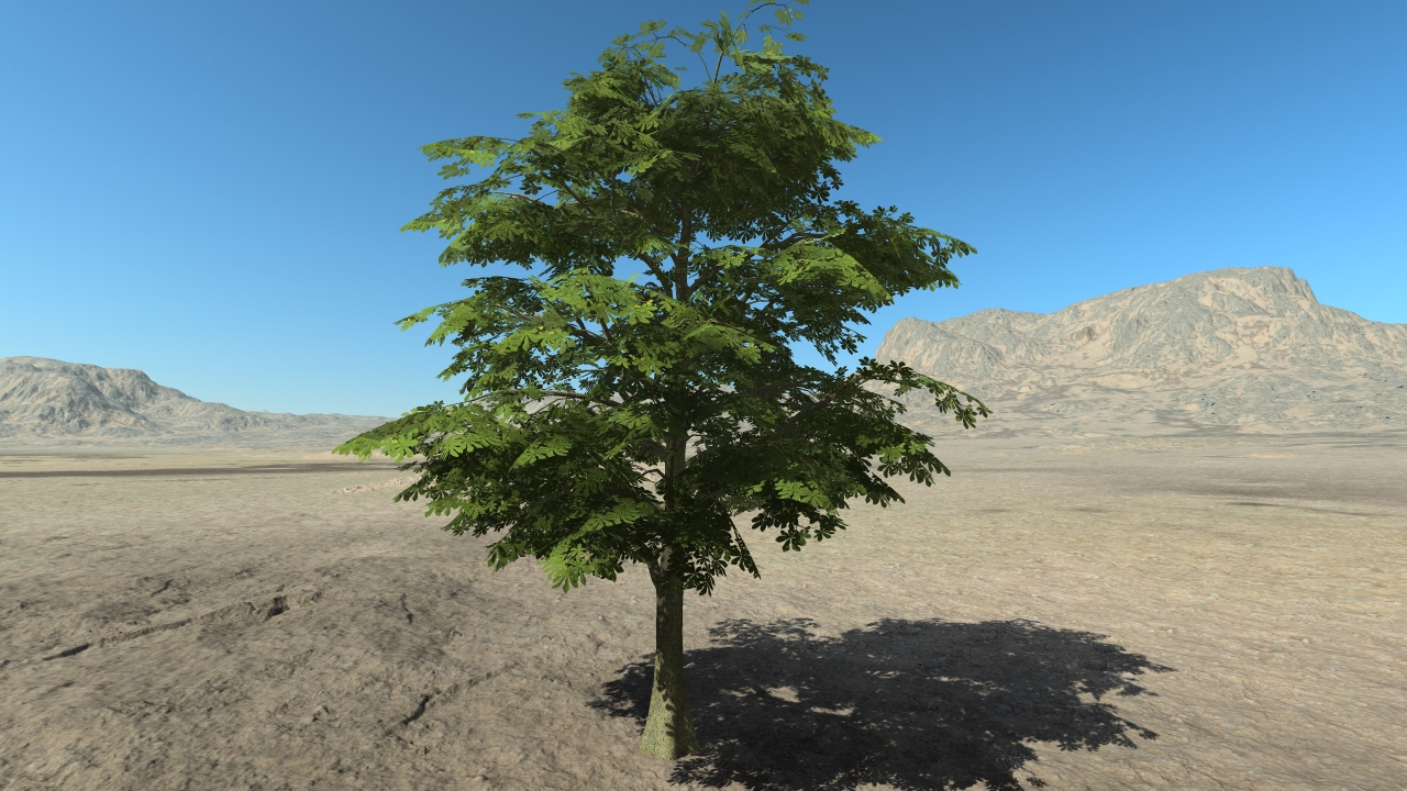 Summer chestnut trees_4