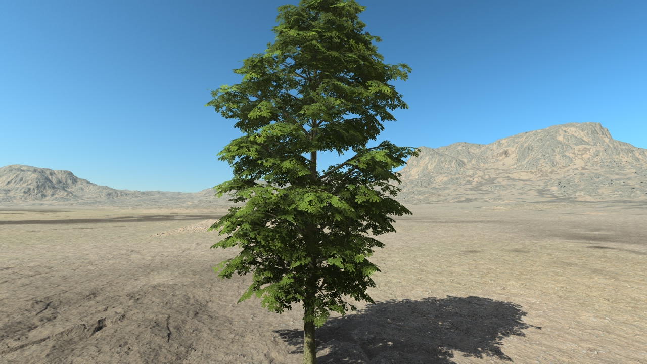 Summer chestnut trees_6